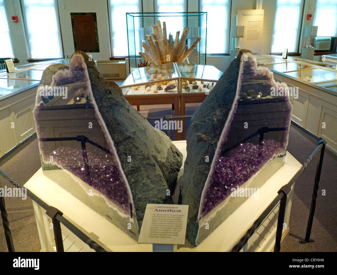 Harvard Museum of Natural History in Boston MA Stock Photo