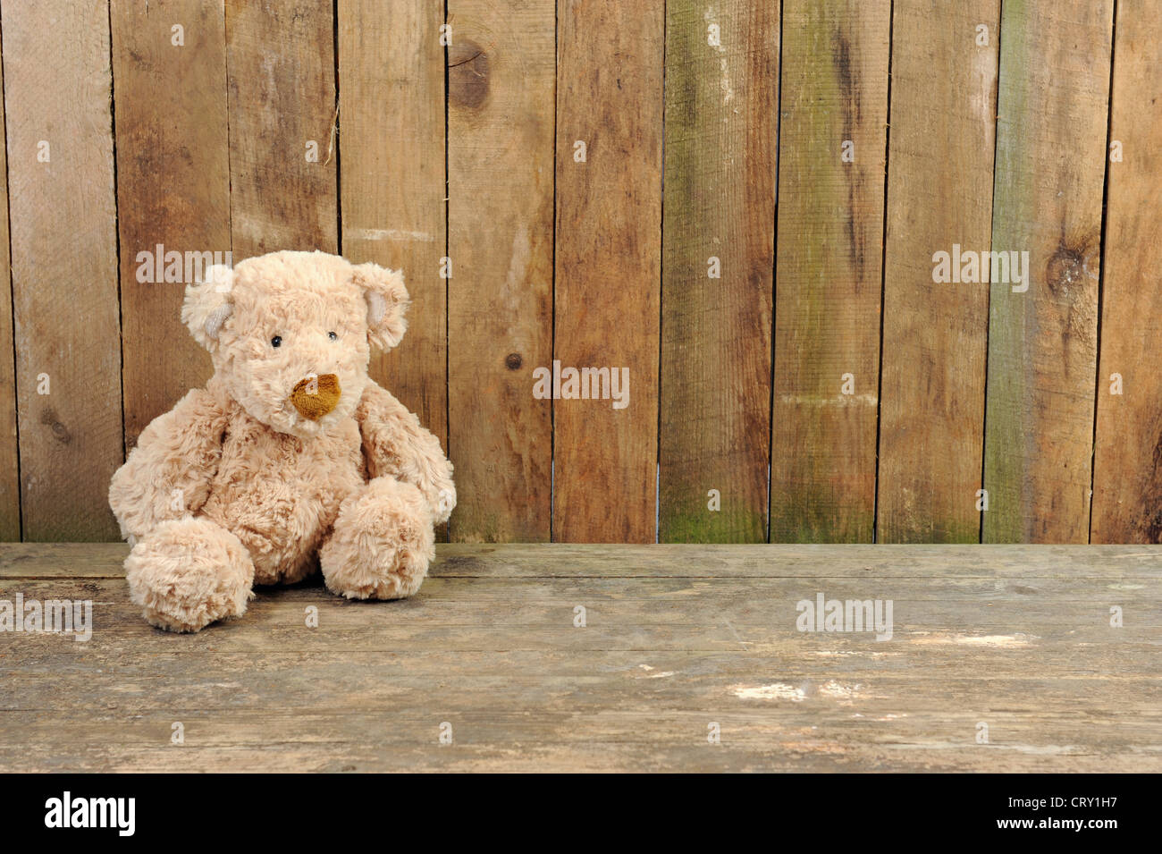 teddy bear seated against a old wooden wall Stock Photo