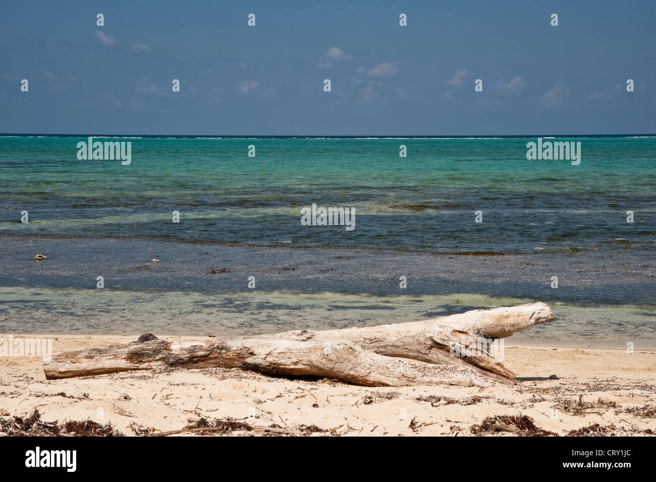 Barkers cayman hires stock photography and images Alamy