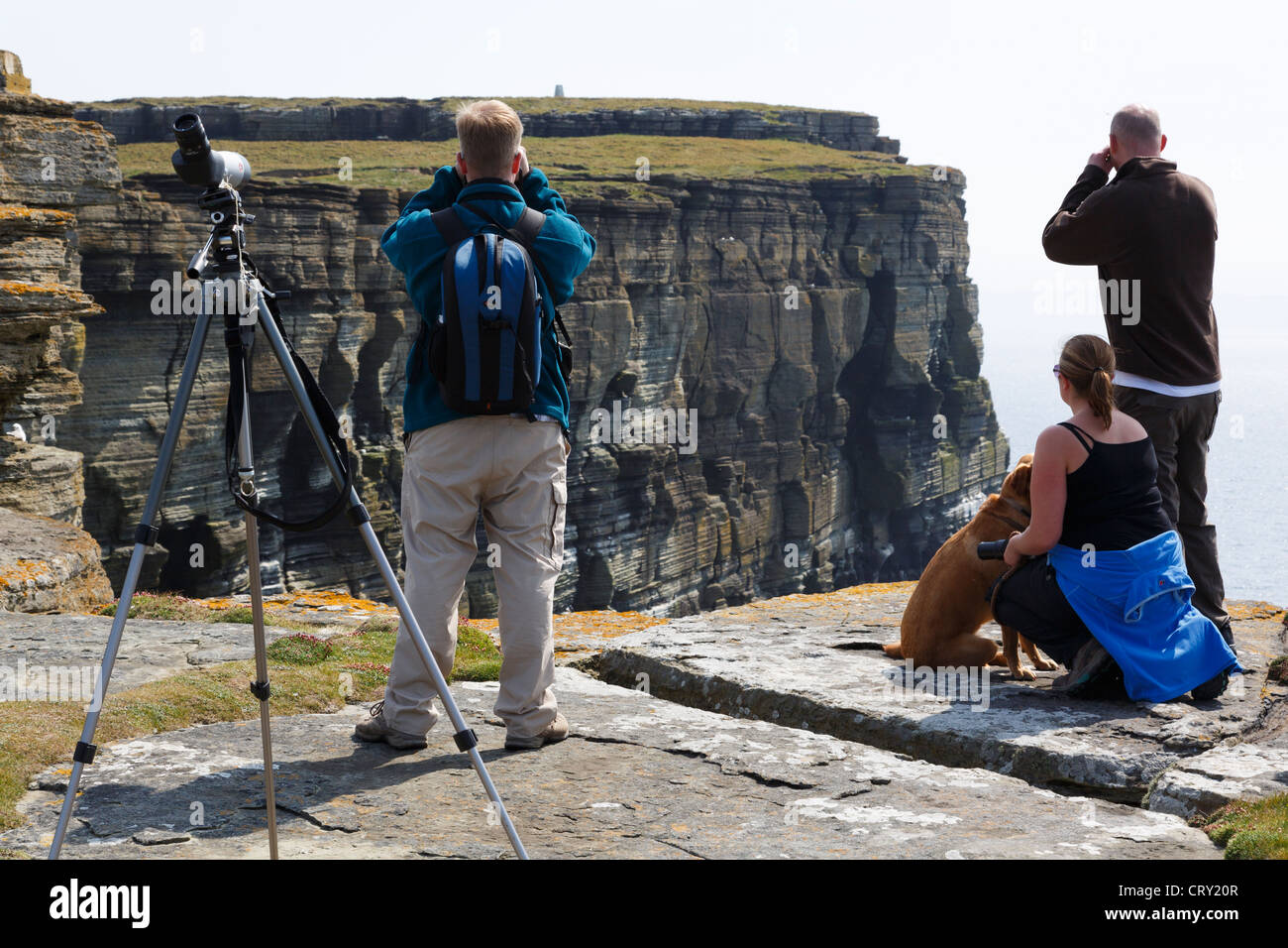 Birdwatchers using binoculars and a telescope to watch Puffins and colony of seabirds nesting on cliffs. Noup Head Westray Orkney Islands Scotland UK Stock Photo