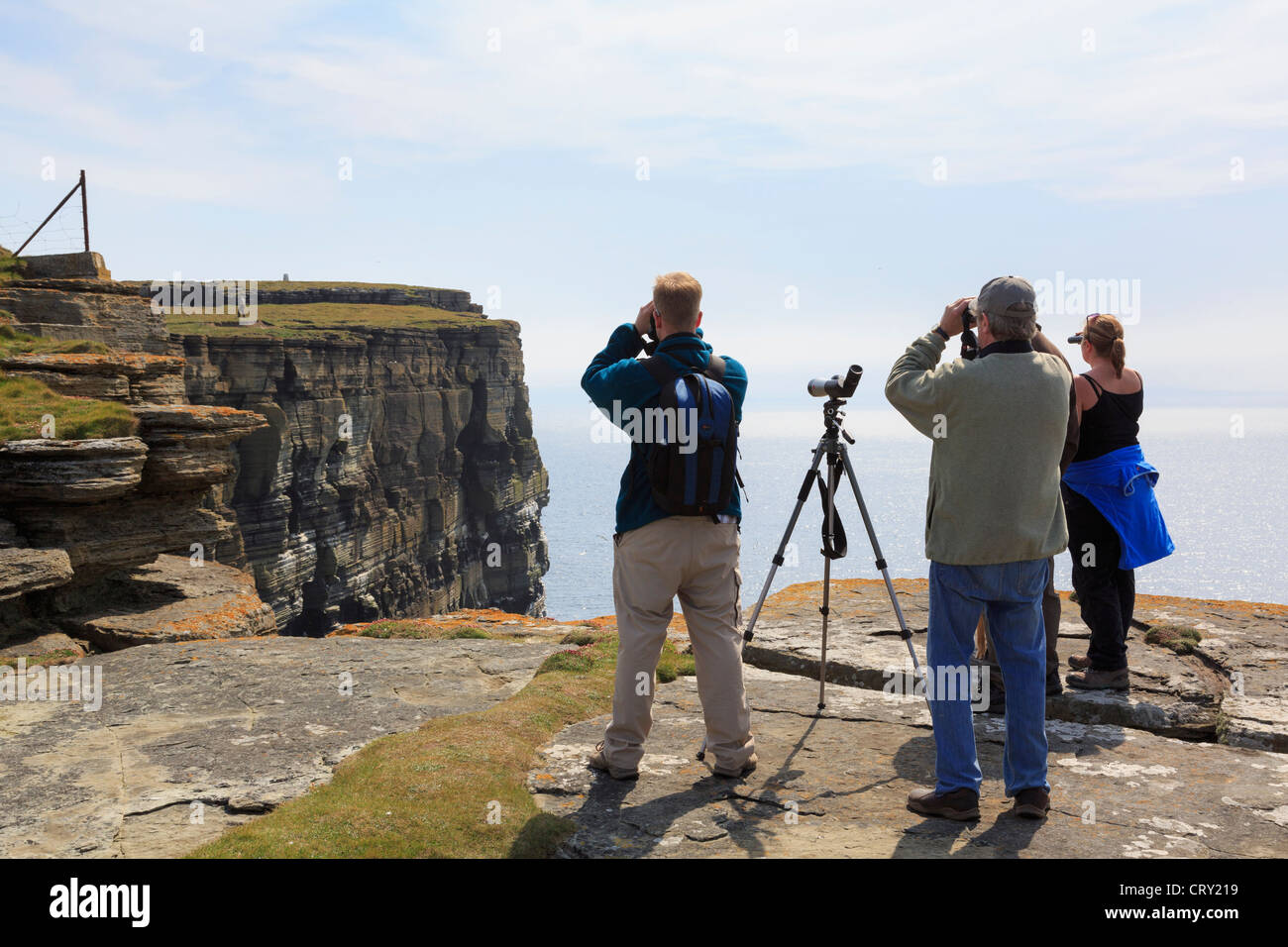People using binoculars and a telescope to watch Puffins and a seabird colony nesting on cliffs at Noup Head Westray Orkney Islands Scotland UK Stock Photo