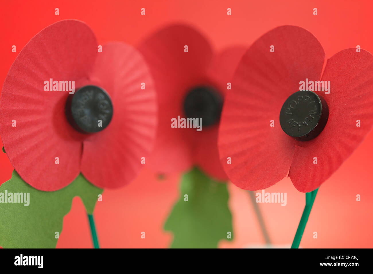 Veteran's Memorial Poppies Stock Photo Alamy