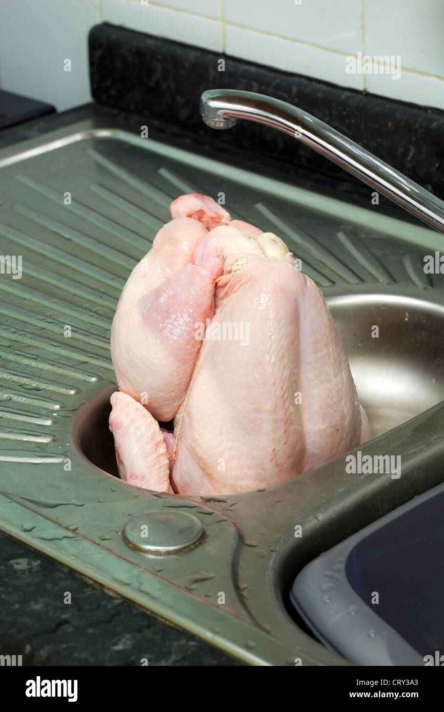 Raw Chicken In Kitchen Sink Stock Photo 49153163 Alamy