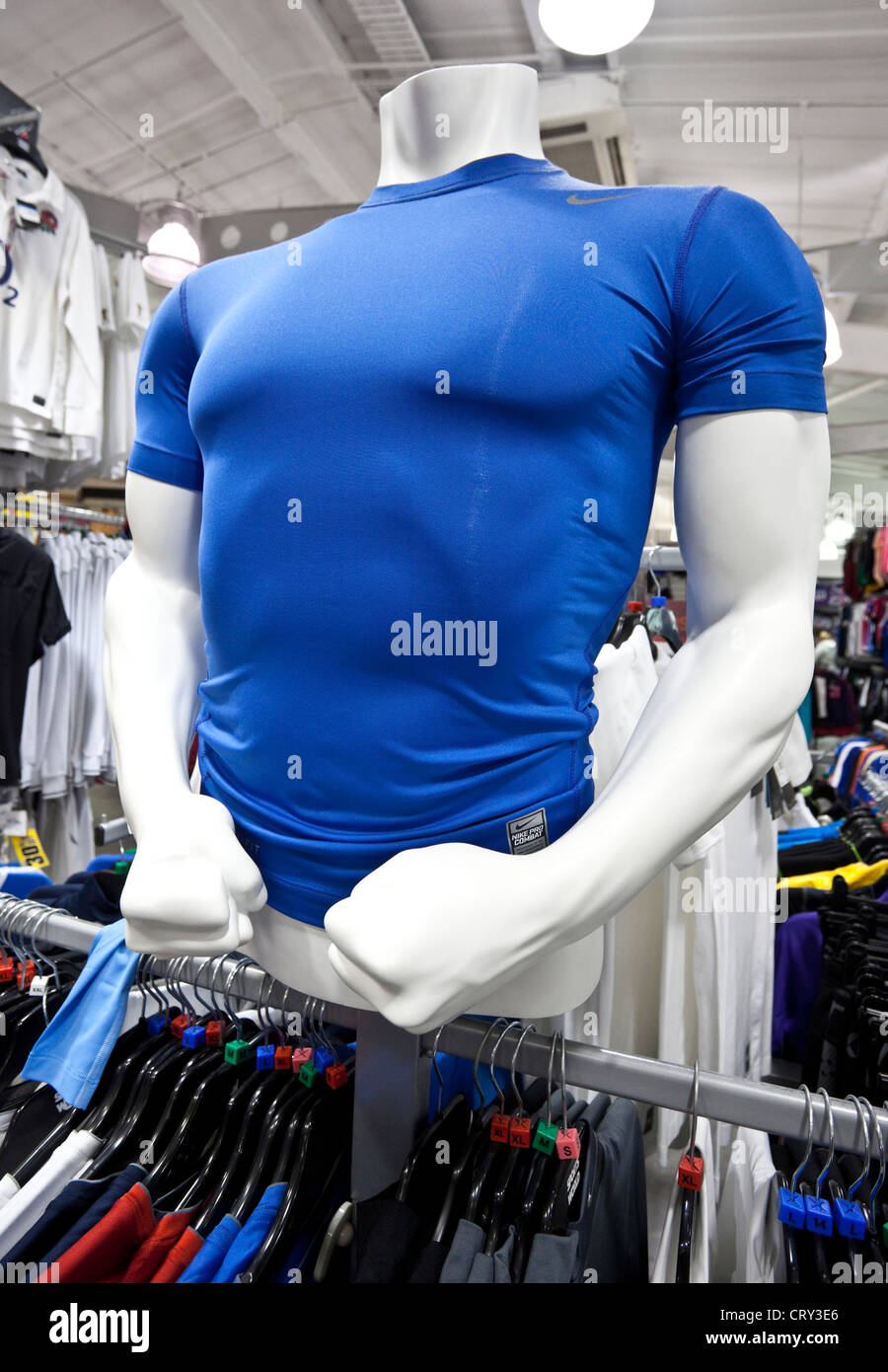 Muscled male mannequin torso wearing a sports blue Tshirt inside a