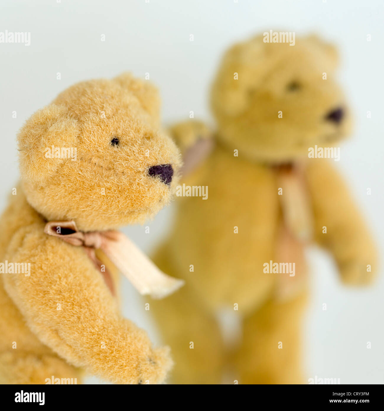 Teddy bear reflected in mirror Stock Photo Alamy