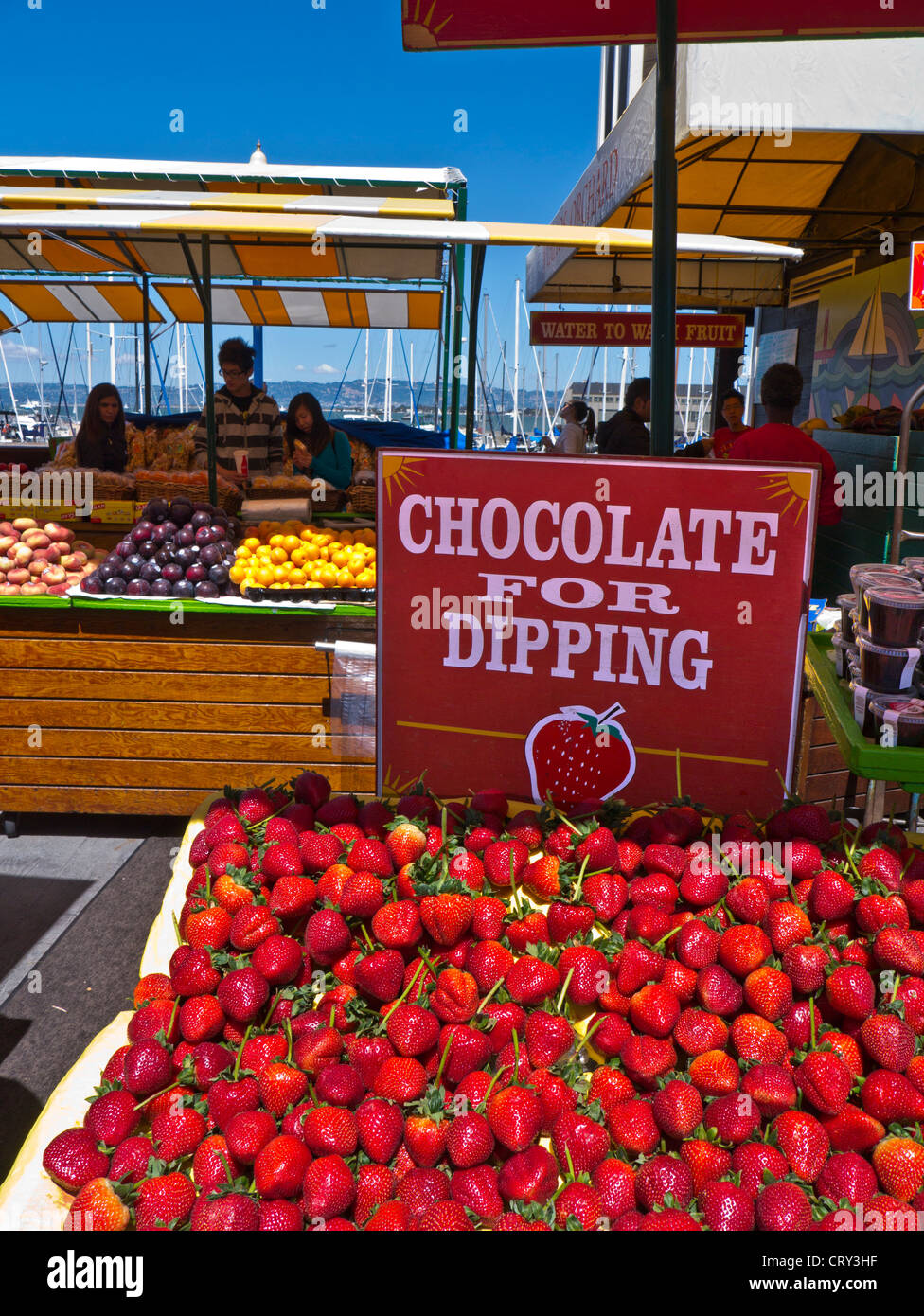 Ripe long stalk strawberries on display farmers market stall ready for chocolate dipping Embarcadero San Francisco USA Stock Photo