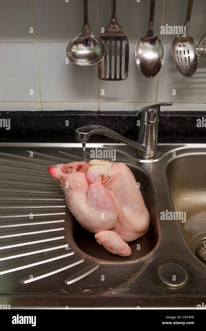 Washing chicken hires stock photography and images Alamy