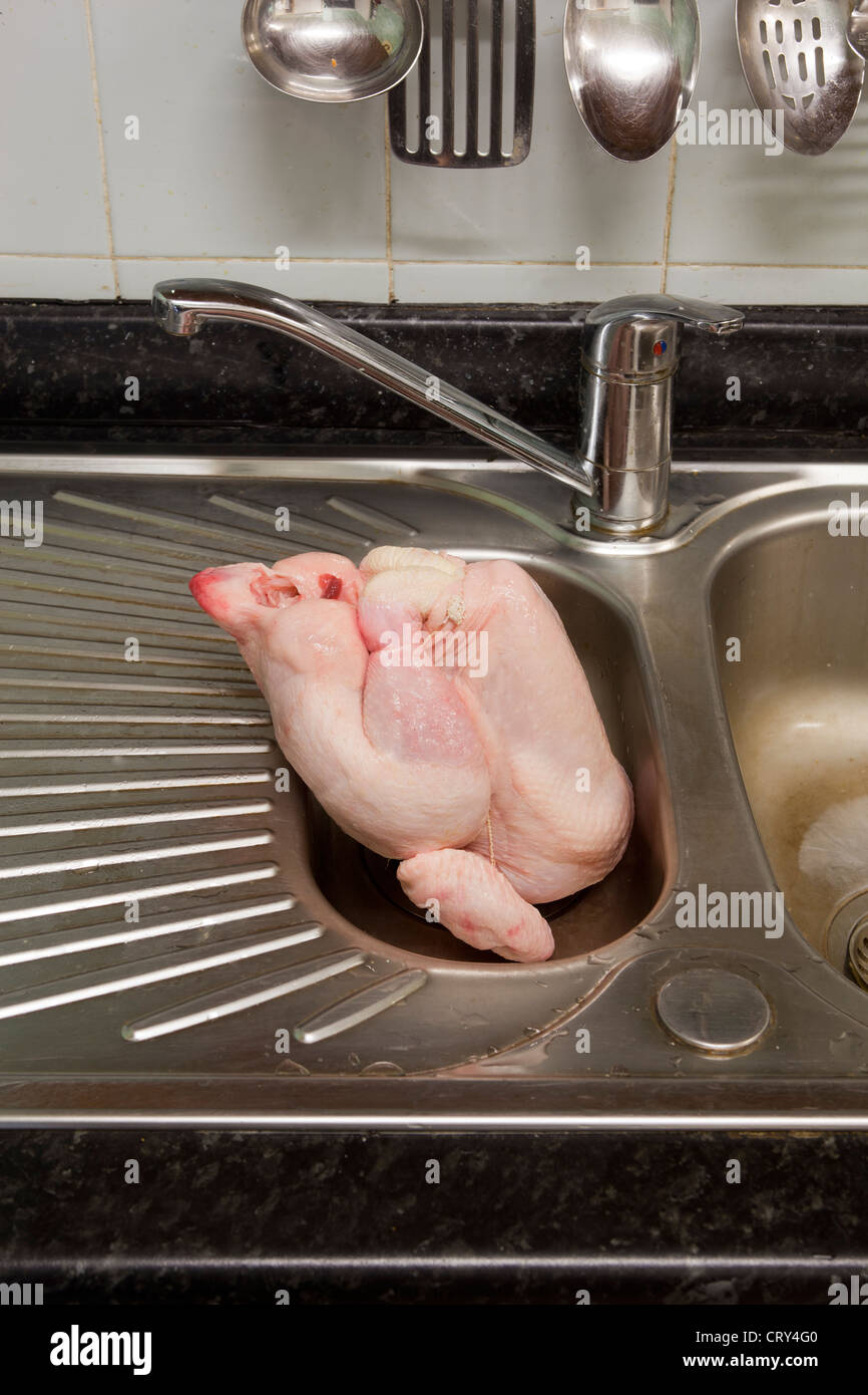 Raw Chicken In Kitchen Sink Stock Photo 49154112 Alamy