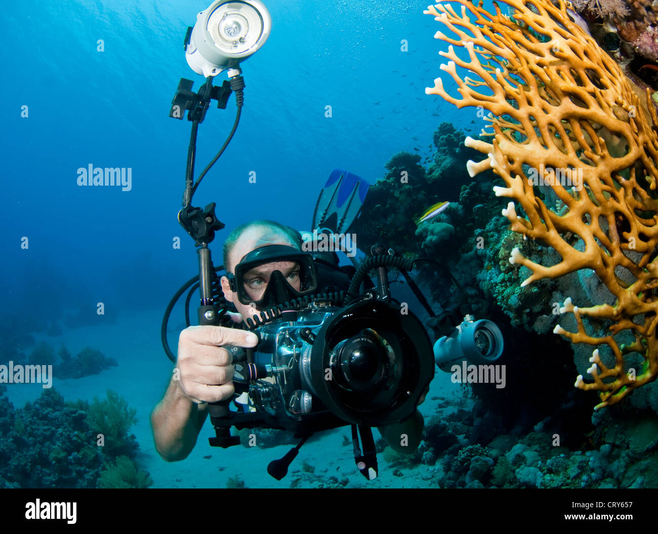 underwater photographer in the Red sea Stock Photo - Alamy