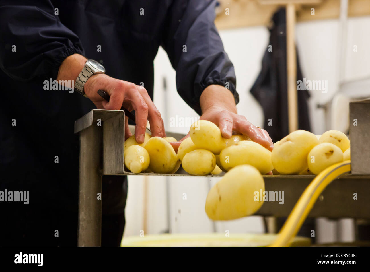 Potatoes being washed and prepared for frying in British chip shop Gloucestershire, UK Stock Photo