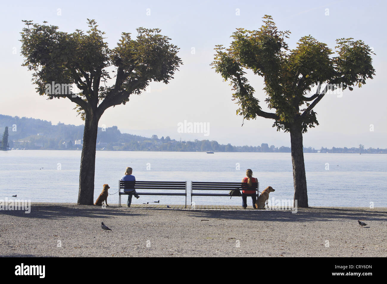 Man sitting on lake hi-res stock photography and images - Alamy