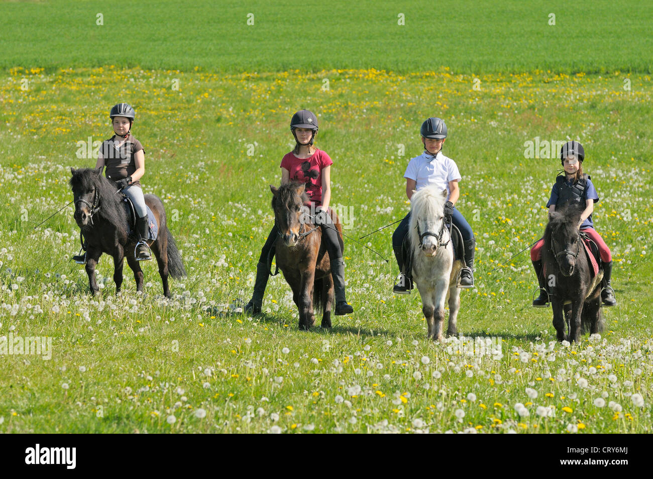 Four girls riding on Shetland Ponies in a meadow Stock Photo