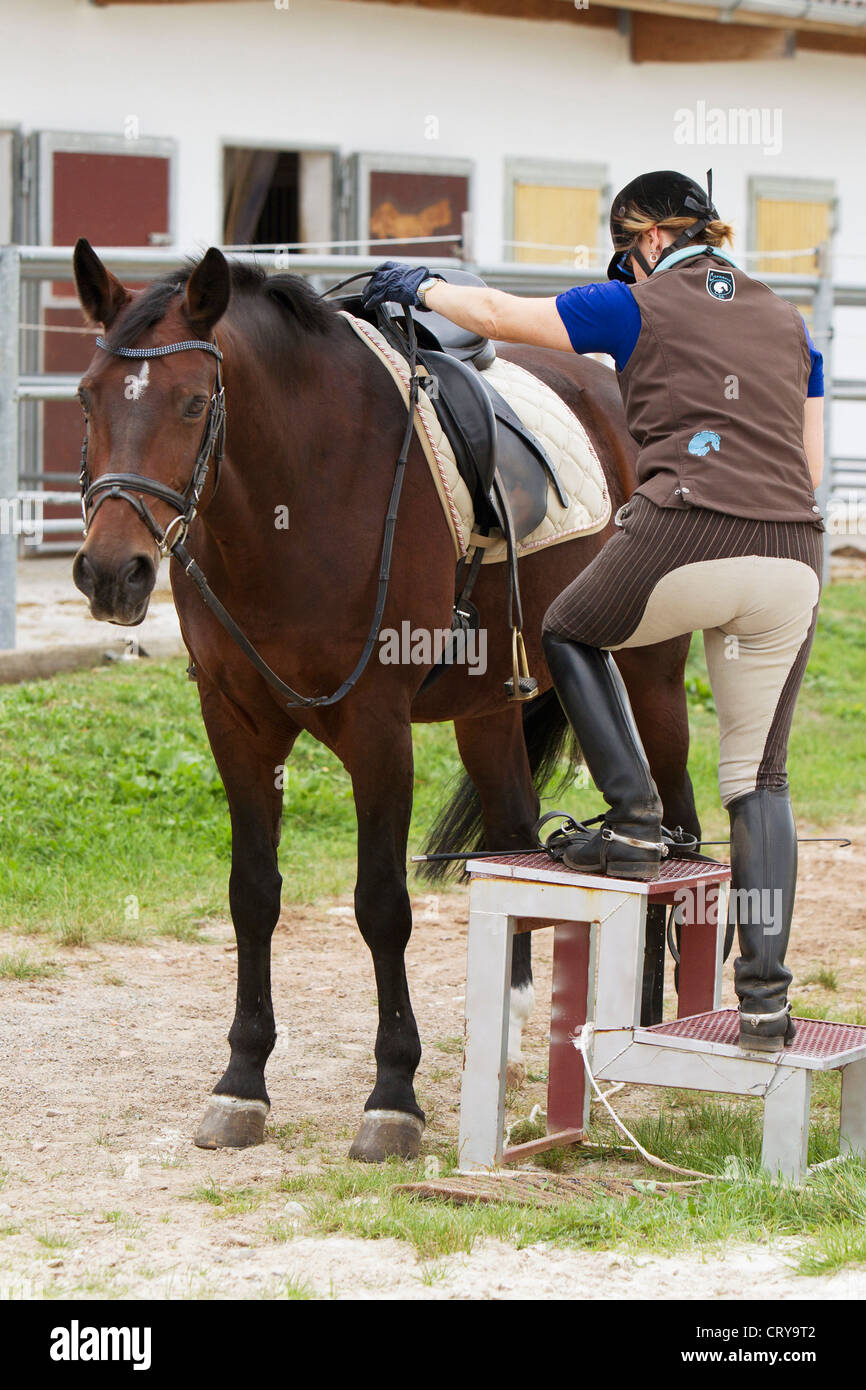 Horse mounting steps hires stock photography and images Alamy