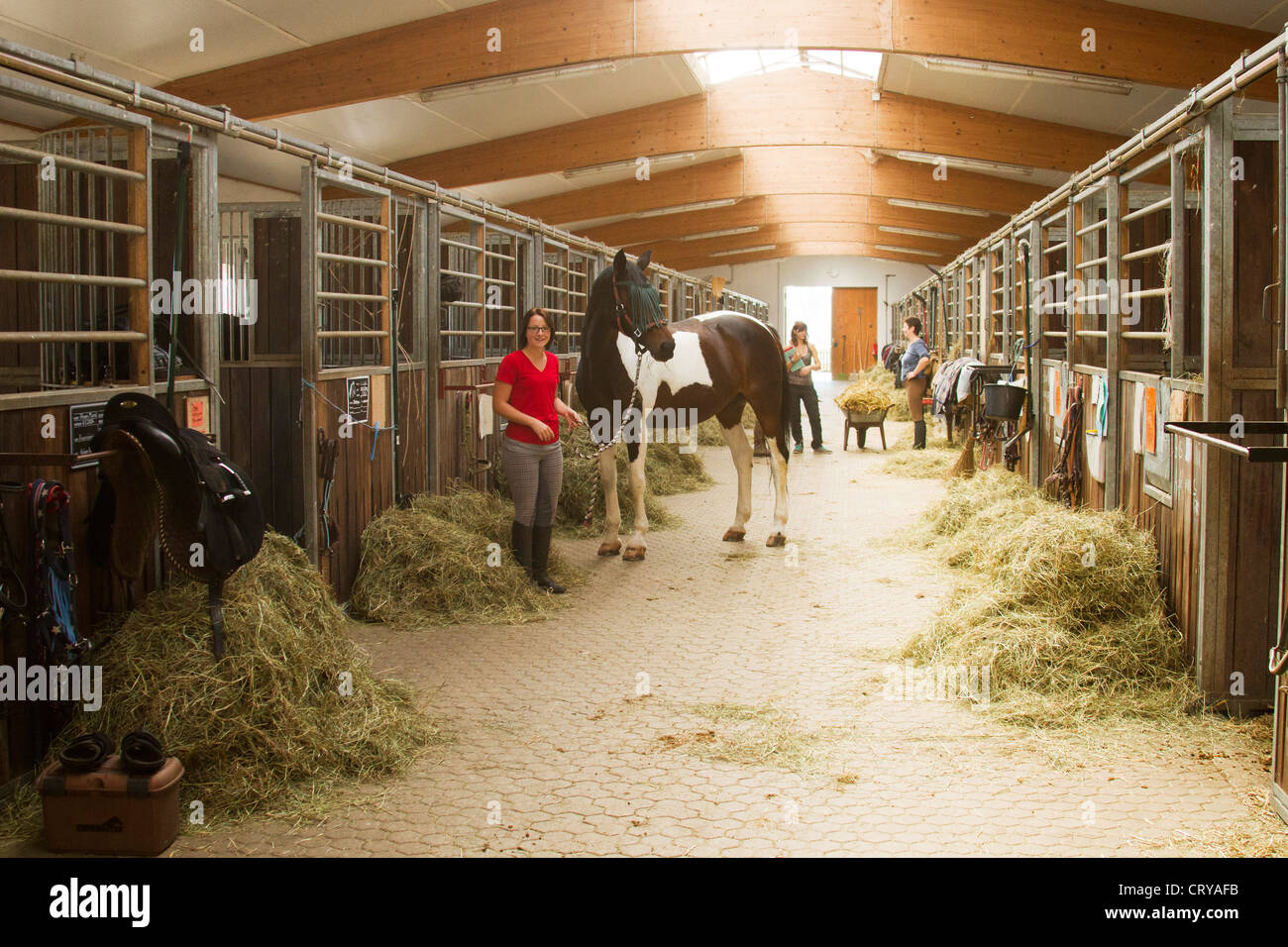 View down a stable Stock Photo