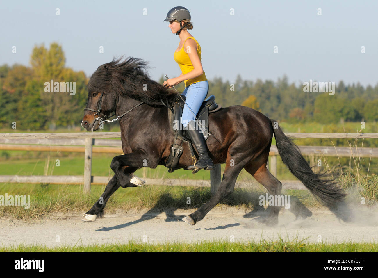 Look - Horse Icelandic riding pictures video to wear - Horse Icelandic riding pictures video