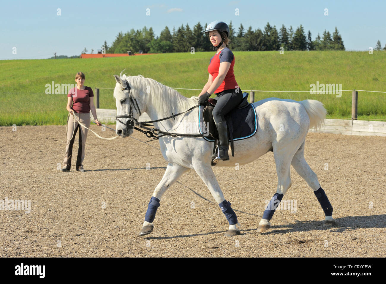 Lunging the adult rider book consider Something is. Lunging the adult rider book matchless