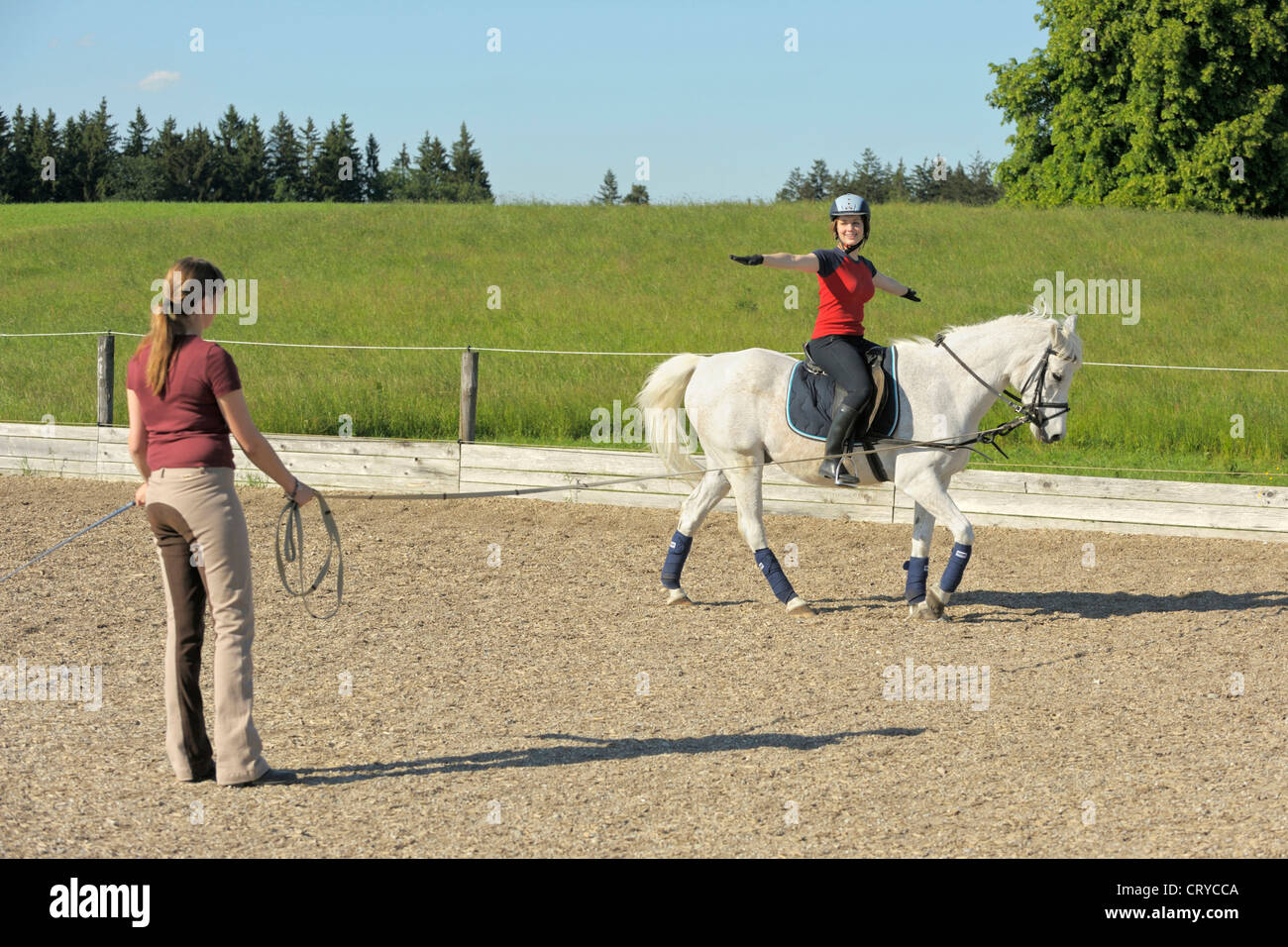 Lunging the adult rider book Lunging the adult rider book will