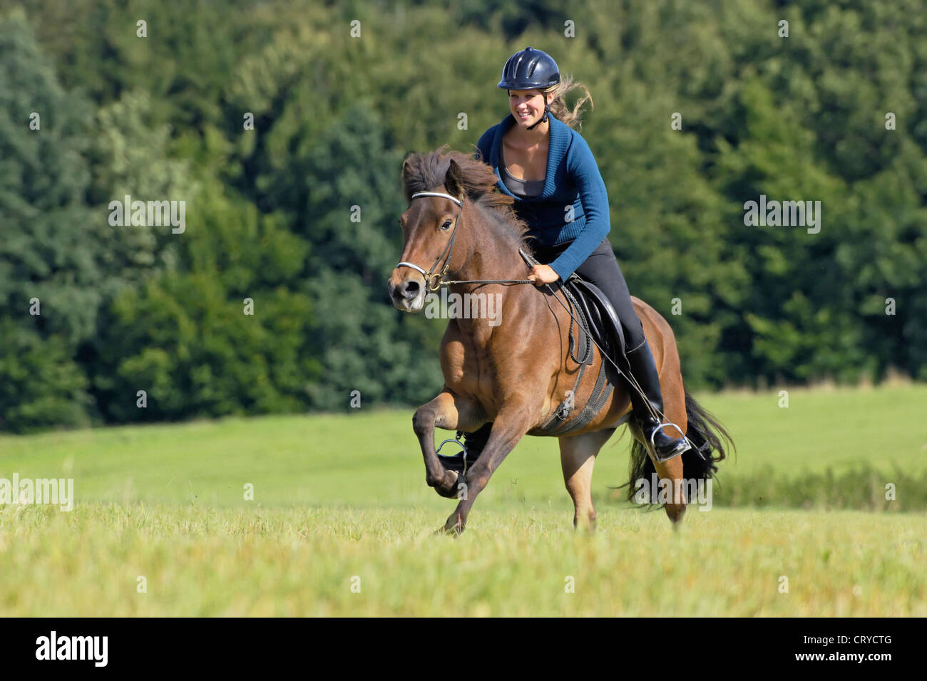 rider woman with whip is sitting on hay - Stock Photo [42811702] - PIXTA