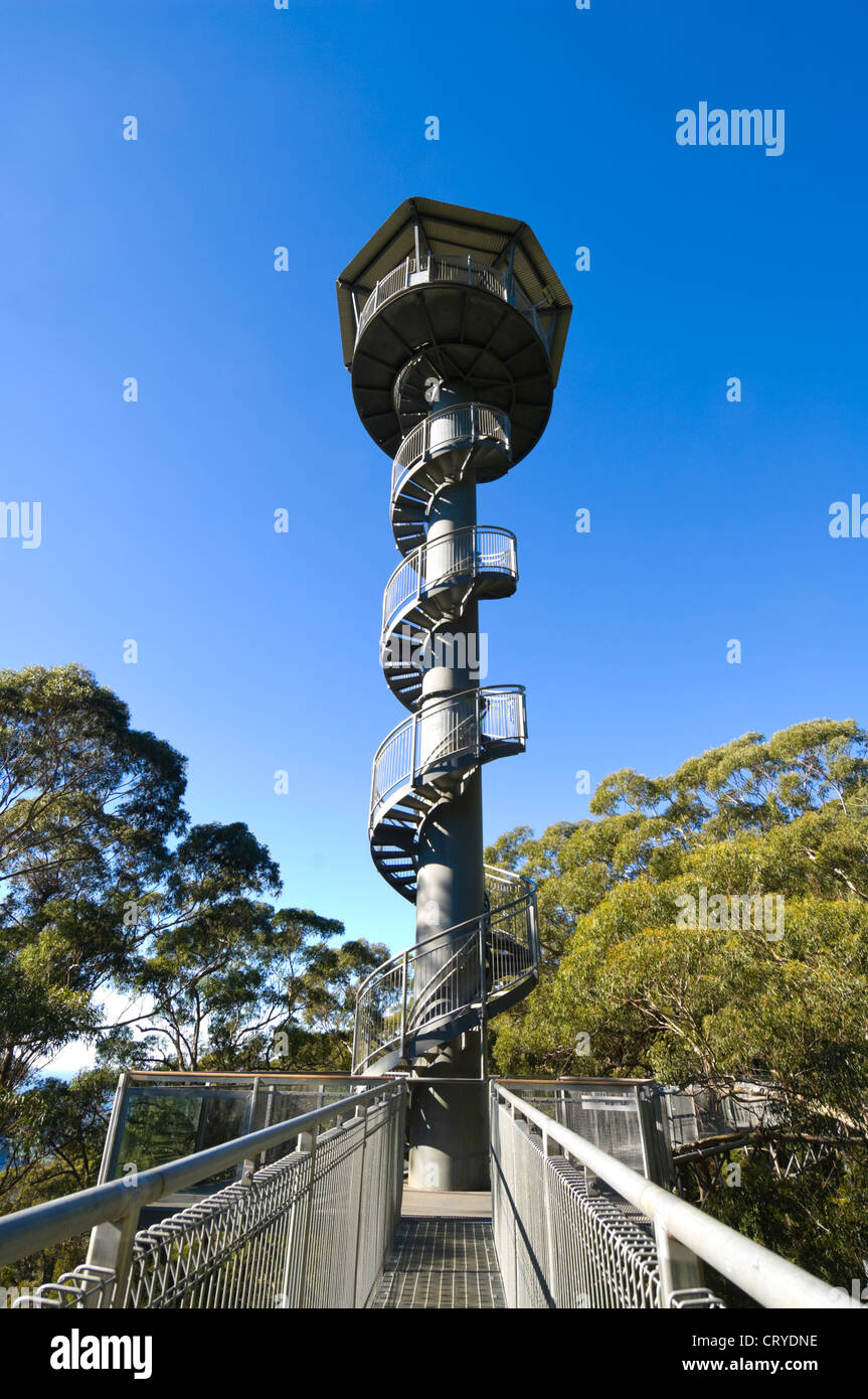 Knights Tower Lookout, Illawarra Fly Tree Top Walk, near Wollongong