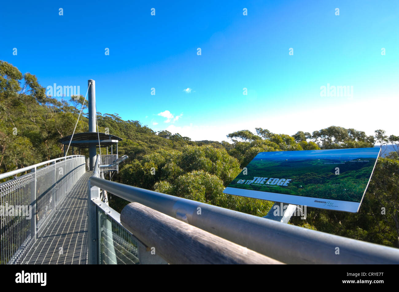 Illawarra Fly Tree Top Walk, near Wollongong, New South Wales