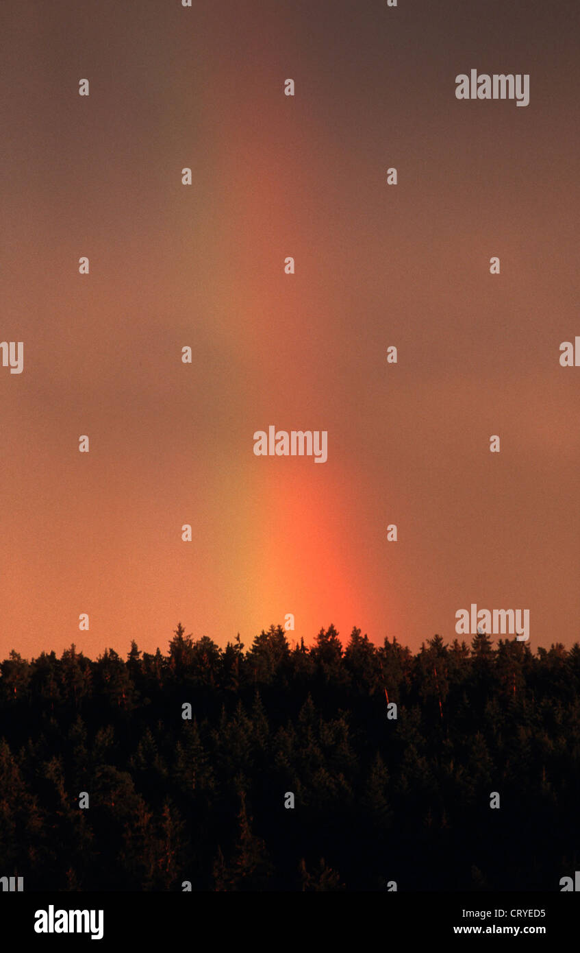 Evening sunset in the Black Forest Stock Photo - Alamy