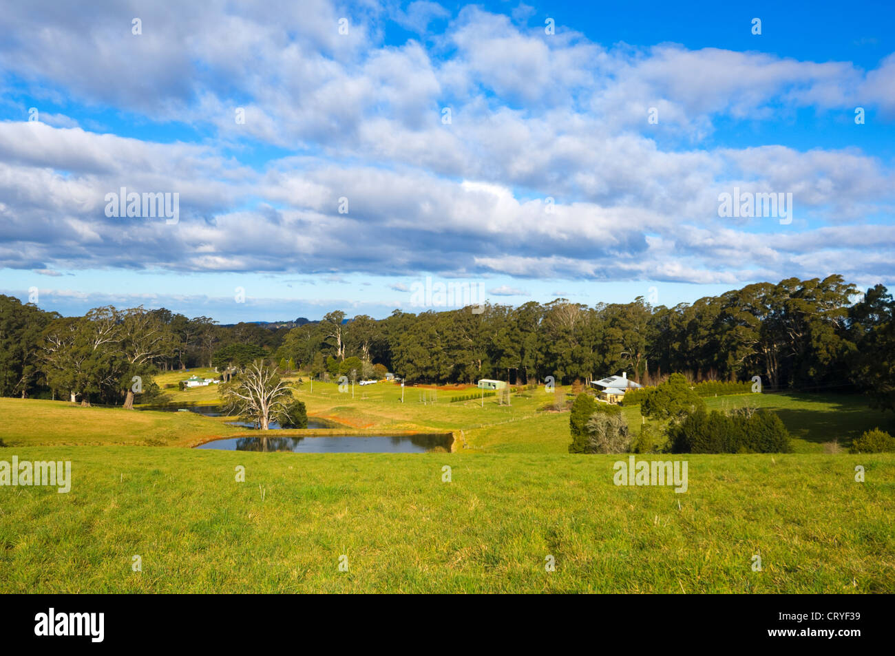 Kangaroo Valley New South Wales Stock Photos Kangaroo Valley New