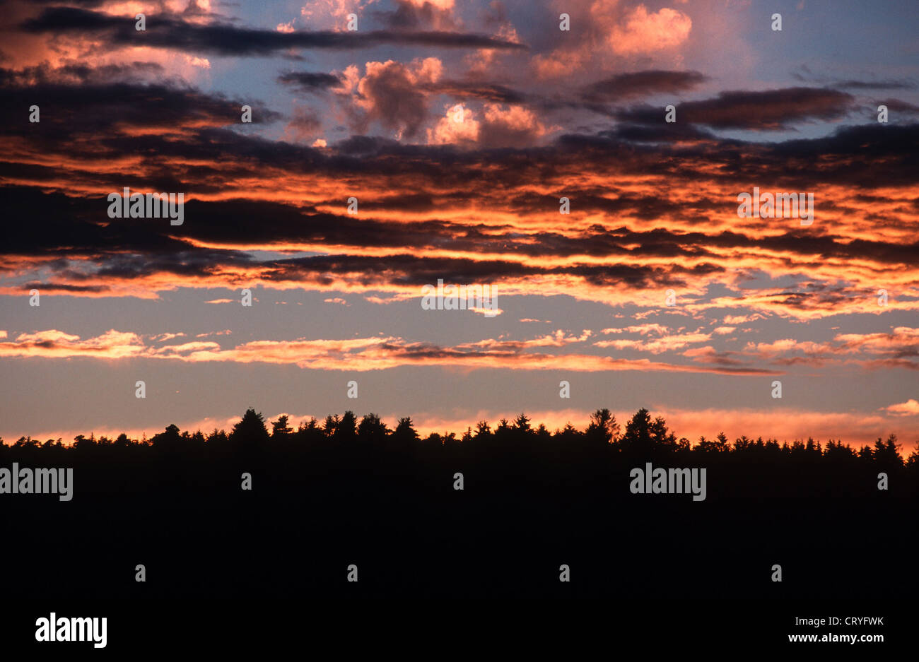 Evening sunset in the Black Forest Stock Photo - Alamy