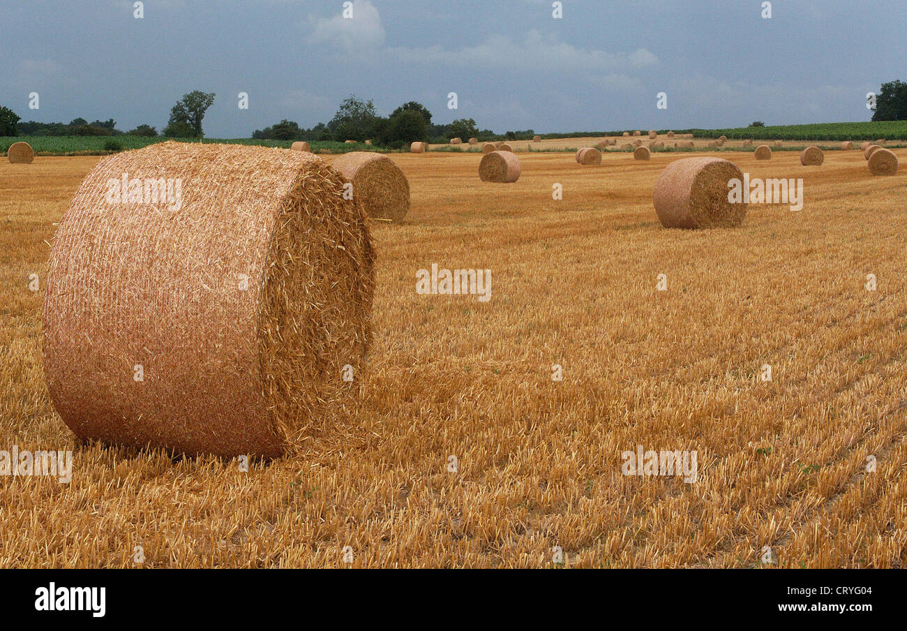 Harvested field in Southern France Stock Photo