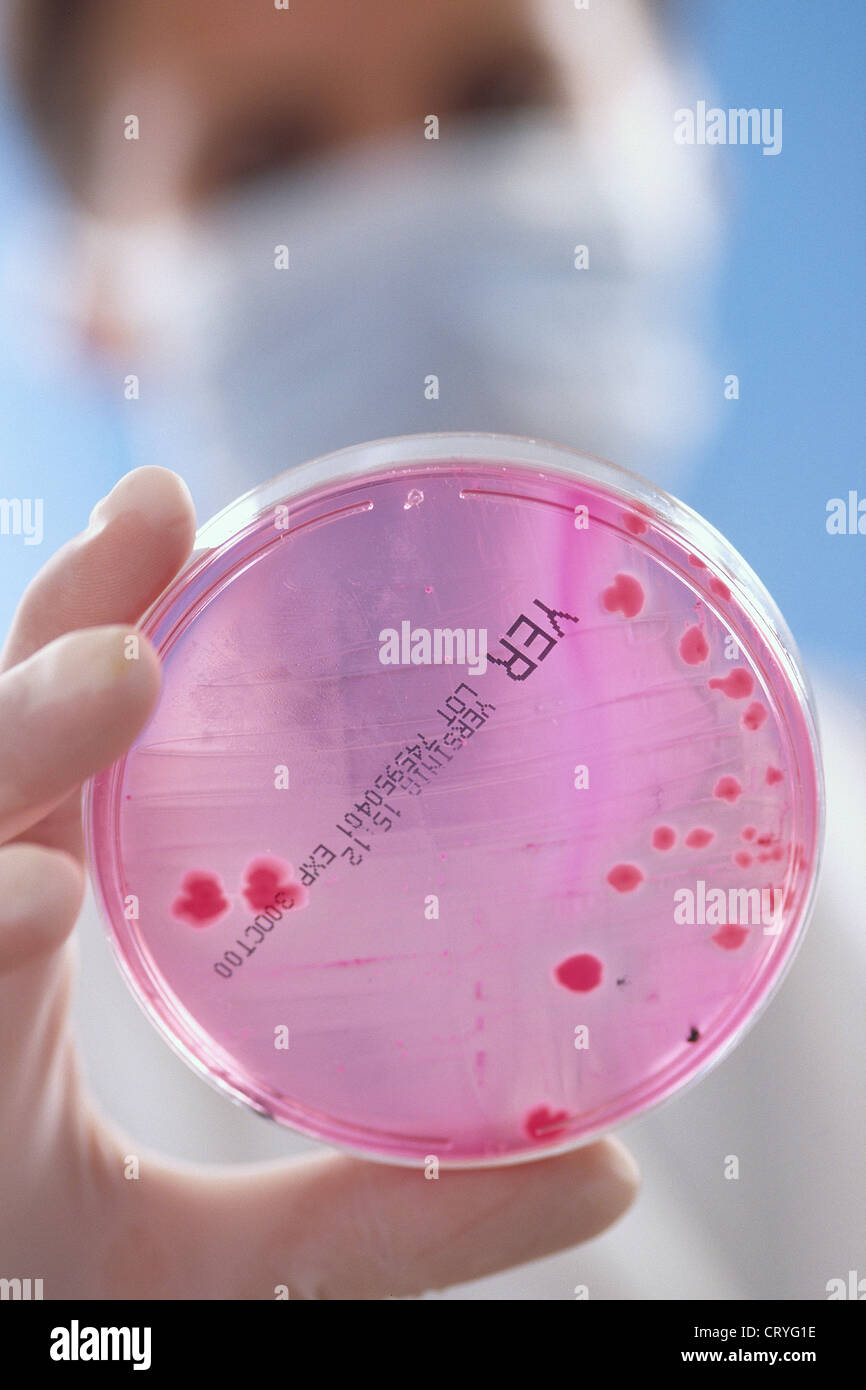 Citrobacter hi-res stock photography and images - Alamy