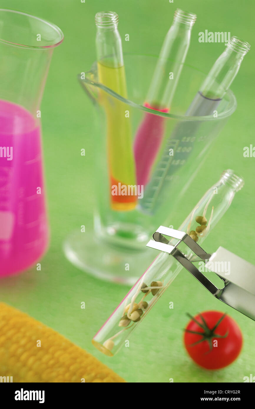 Fruits and vegetables test tubes hi-res stock photography and images ...