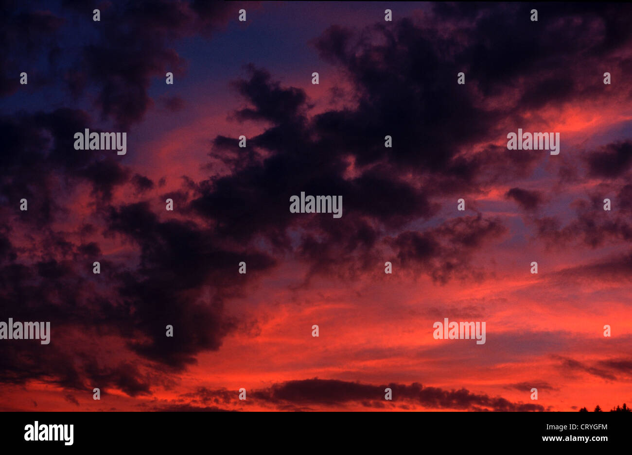 Evening sunset in the Black Forest Stock Photo - Alamy