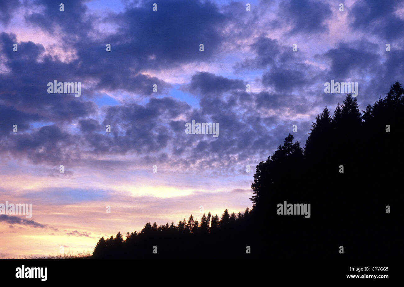 Evening sunset in the Black Forest Stock Photo - Alamy