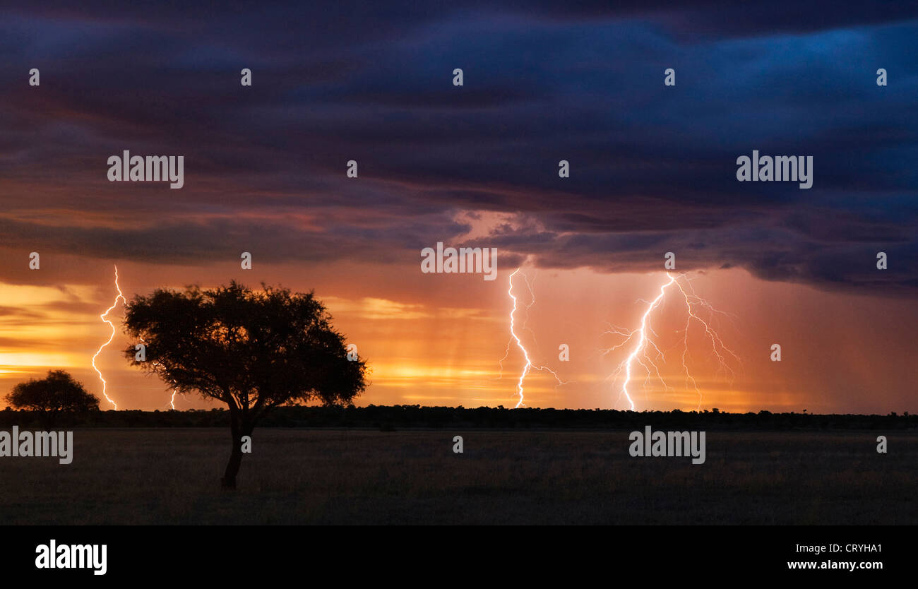 Thunder storm with lightning bolts at sunset over Kalahari pan Stock Photo