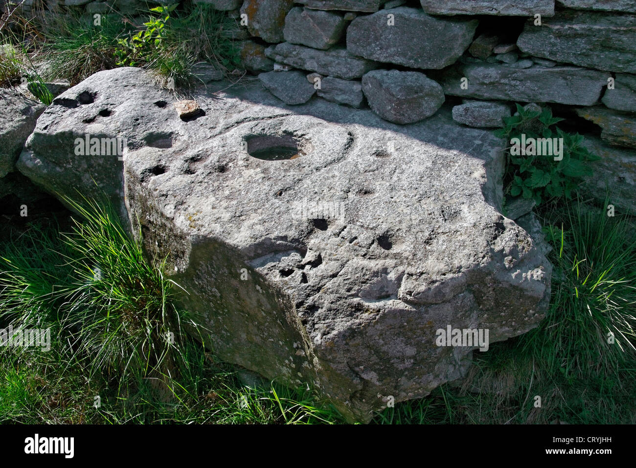 granite cup and ring marked petroglyph stone boulder - alp of faedo - canton of ticino - switzerland Stock Photo