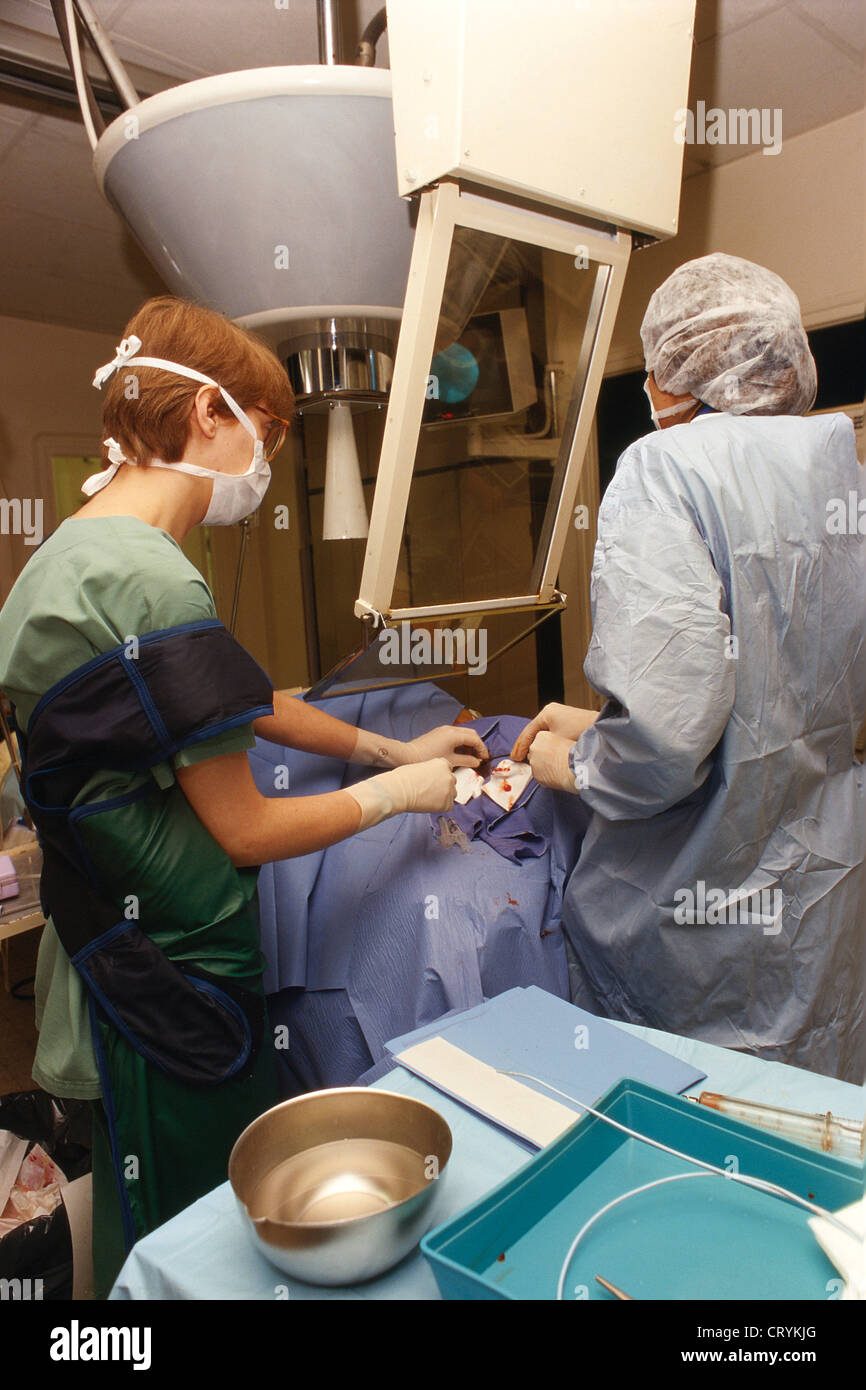 LIVER BIOPSY Stock Photo Alamy liver-biopsy-stock-photo-alamy