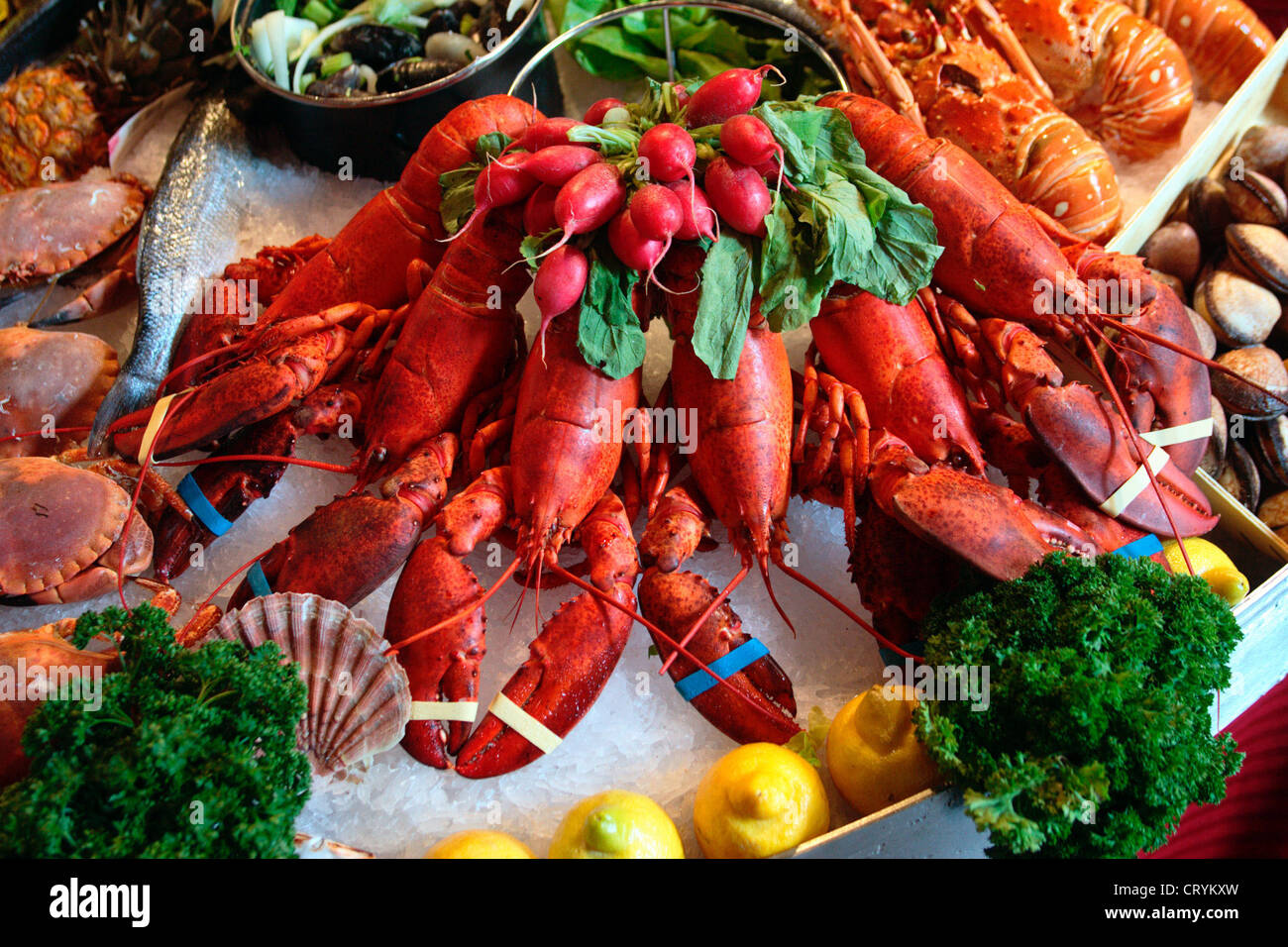 Belgium, Brussels, lobster Stock Photo Alamy