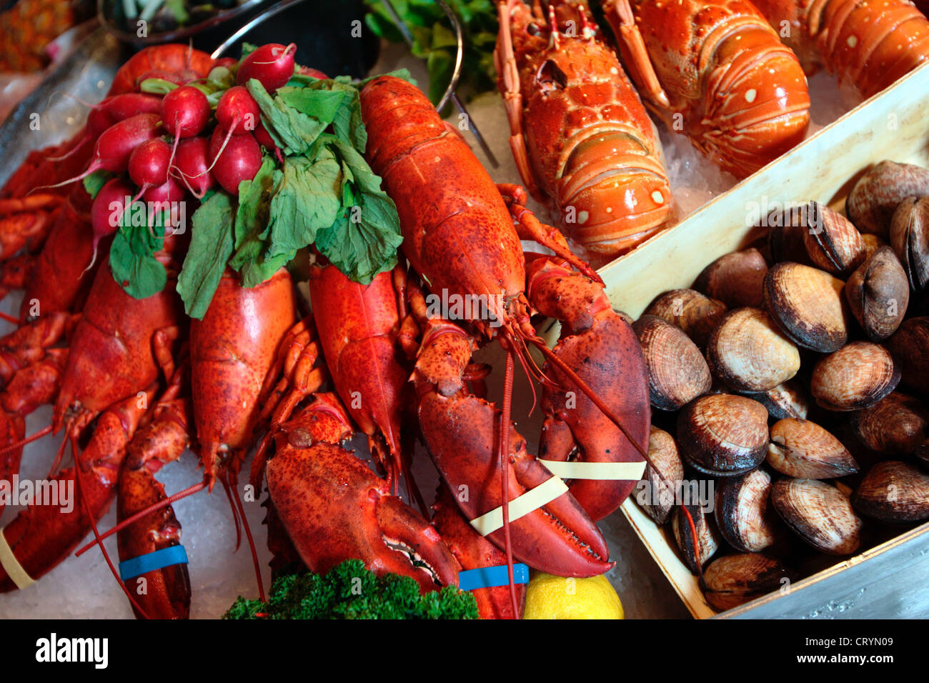 Belgium, Brussels, lobster Stock Photo Alamy