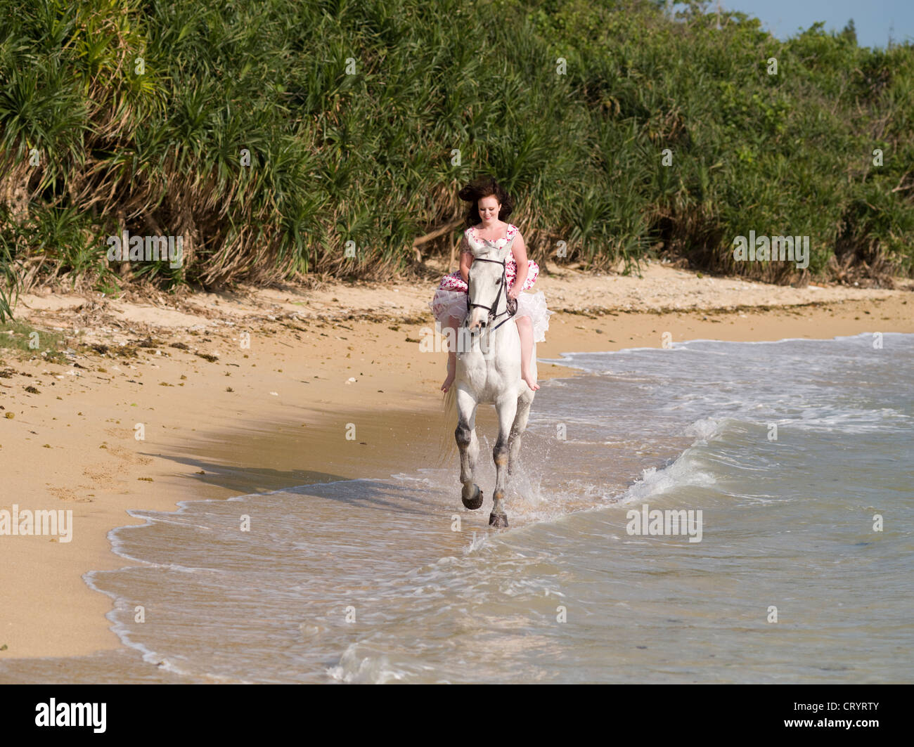 Woman on white horse gallops along the beach Stock Photo
