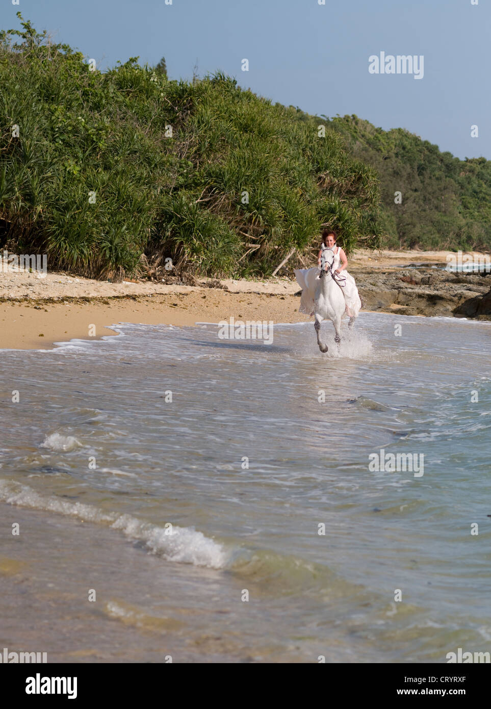 Woman in white wedding dress on a white horse gallops along the beach Stock Photo