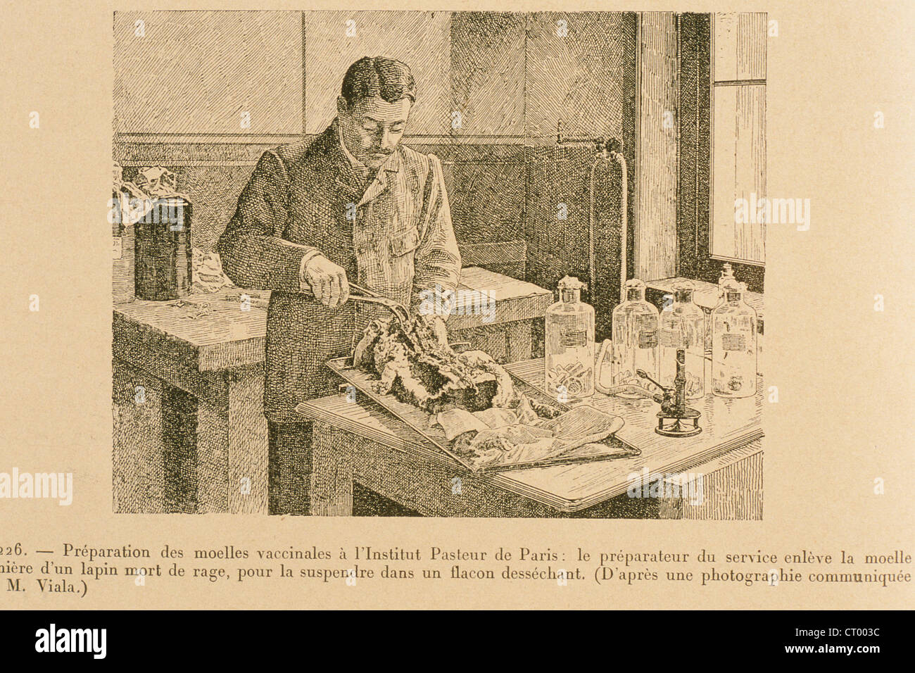 HISTORY OF MEDICINE RABIES Stock Photo Alamy history-of-medicine-rabies-stock-photo-alamy