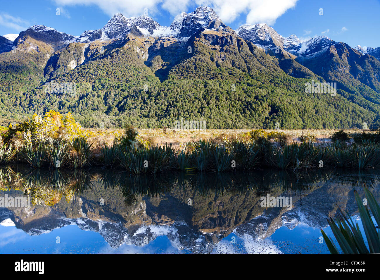 Mirror tarn, Hollyford Valley, Fiordland, New Zealand Stock Photo - Alamy