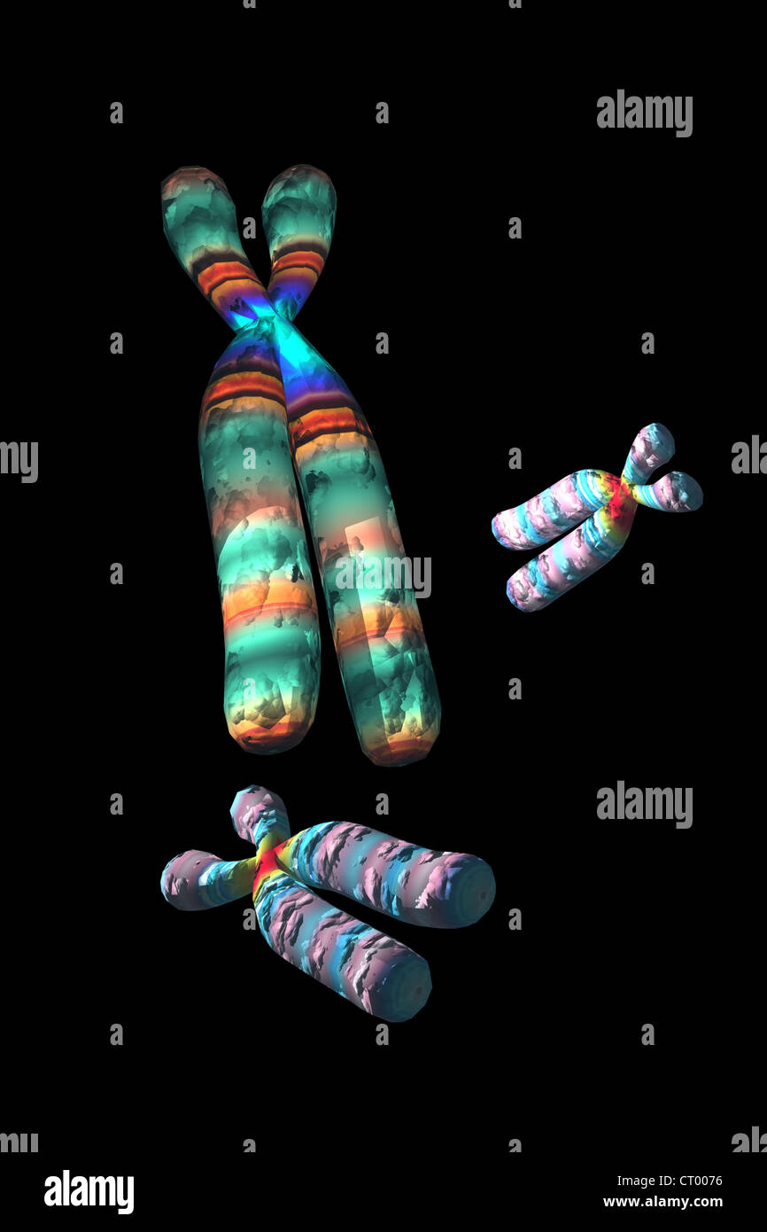 Chromosome artwork hi-res stock photography and images - Alamy