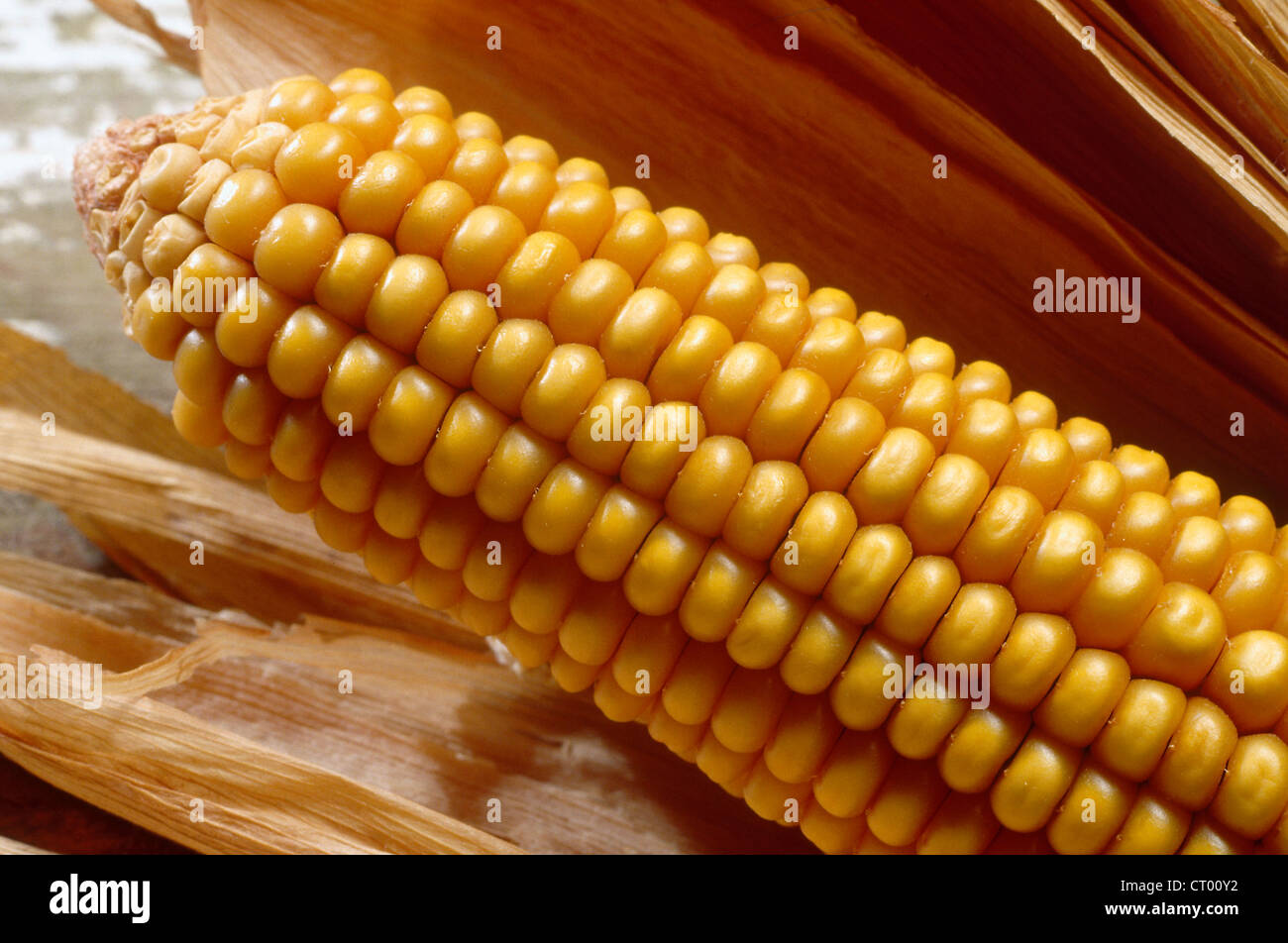 Genetically modified alimentation hi-res stock photography and images ...