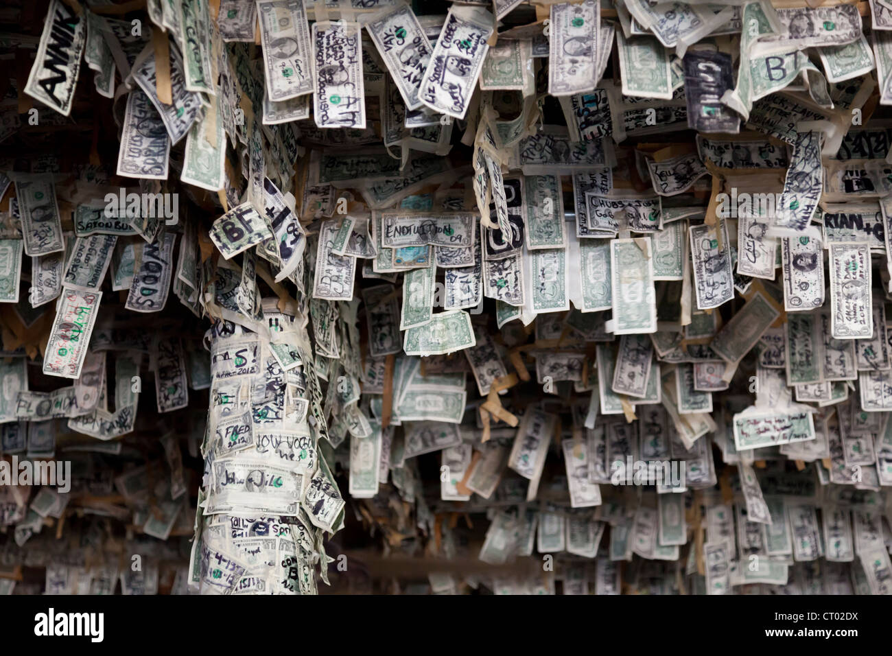 Money wall. Cabbage Key restaurant. Cabbage Kay, Florida Stock Photo