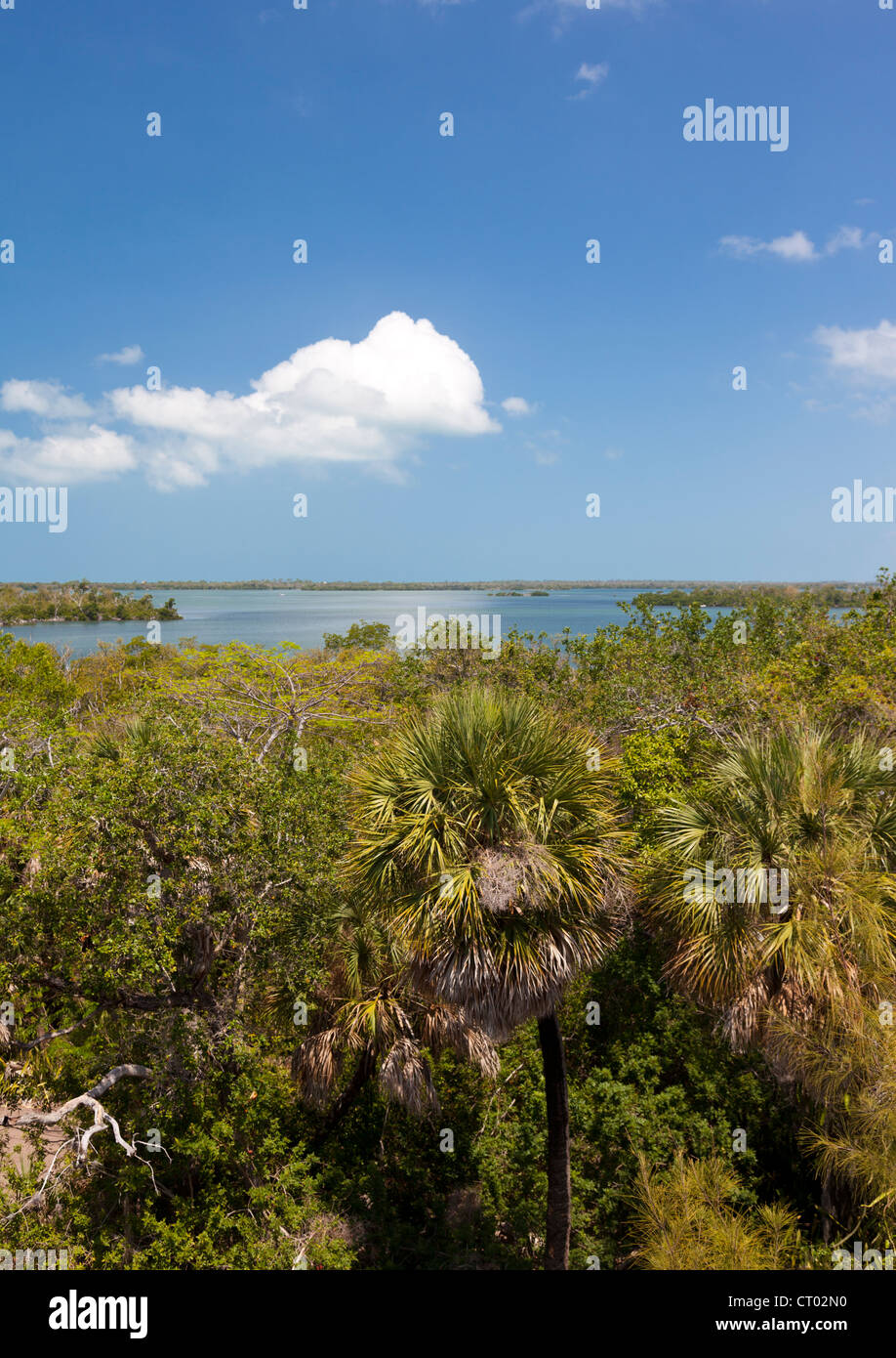 Cabbage key pine island hires stock photography and images Alamy