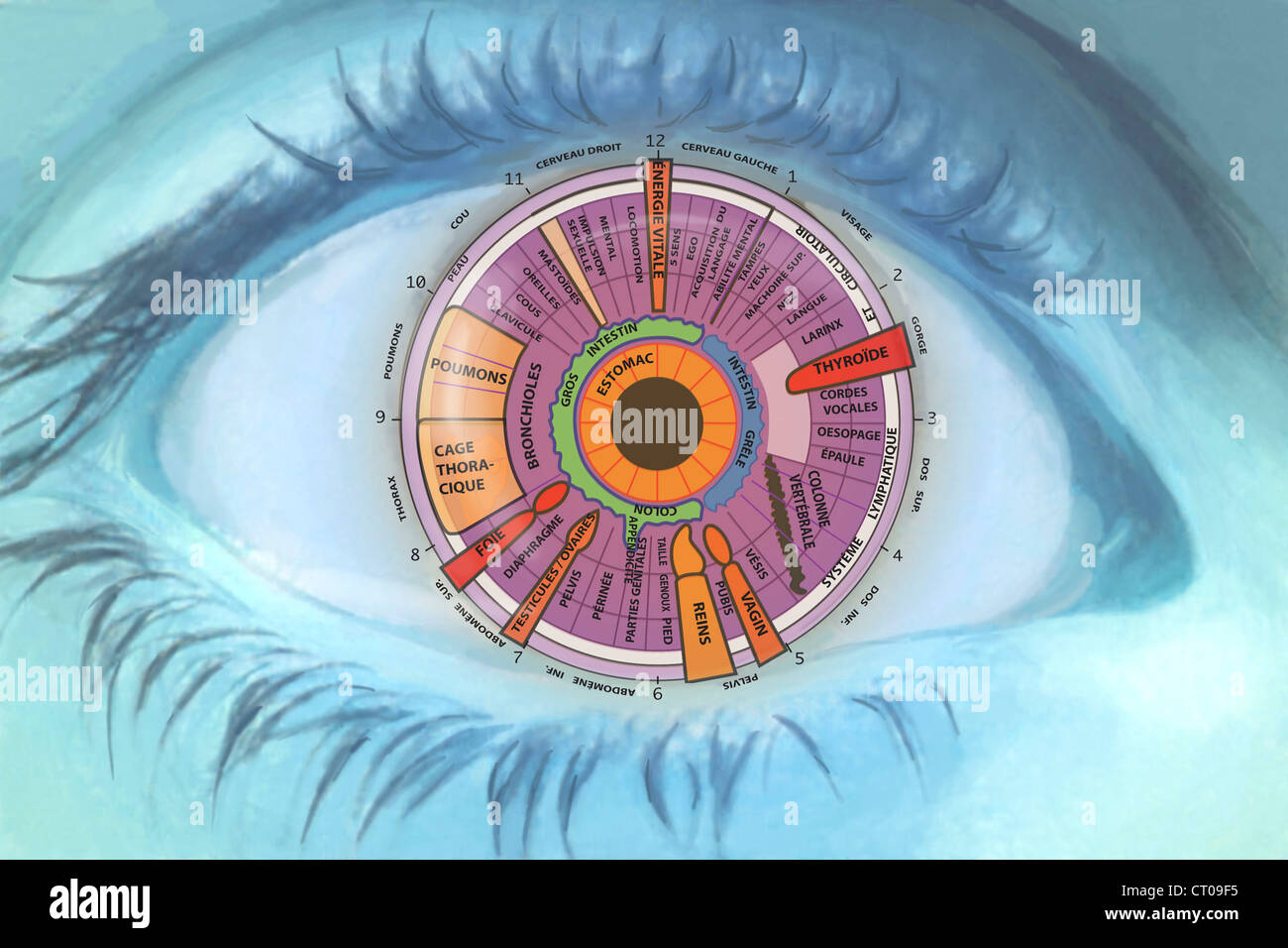 IRIDOLOGY DRAW Stock Photo