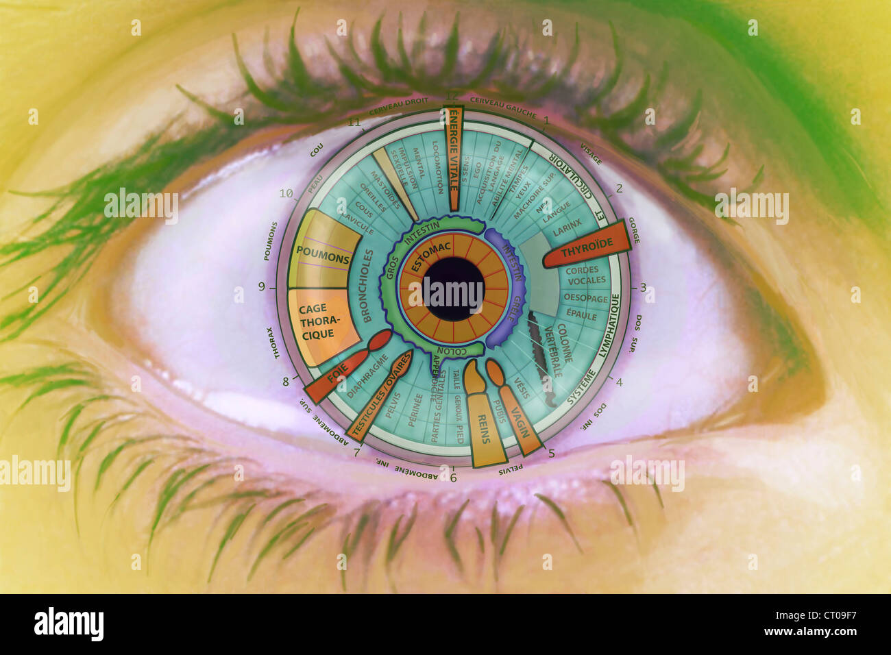 IRIDOLOGY DRAW Stock Photo