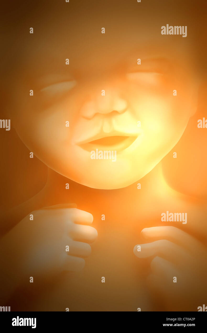 5 month fetus High Resolution Stock Photography and Images - Alamy