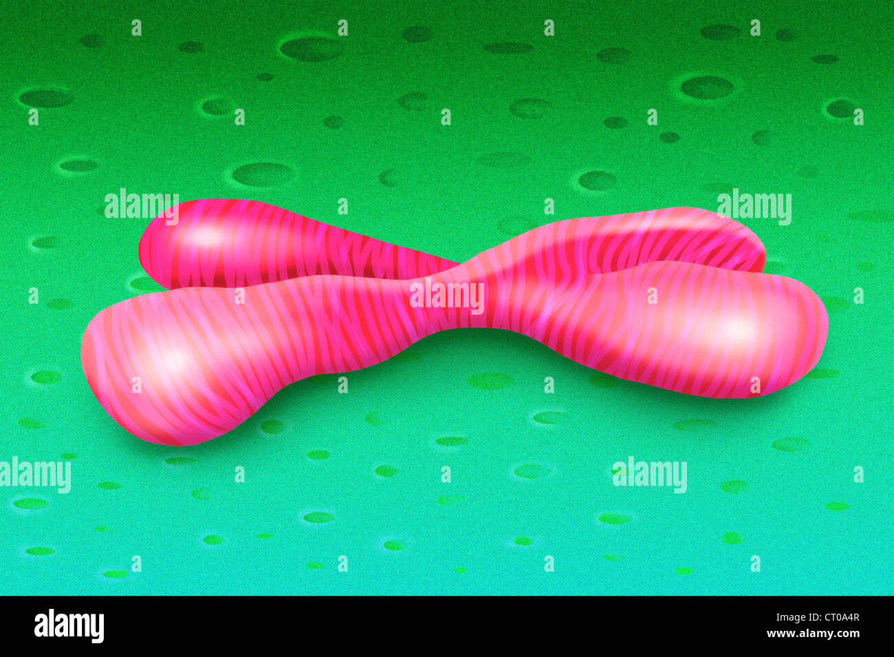 Chromosome artwork hi-res stock photography and images - Alamy