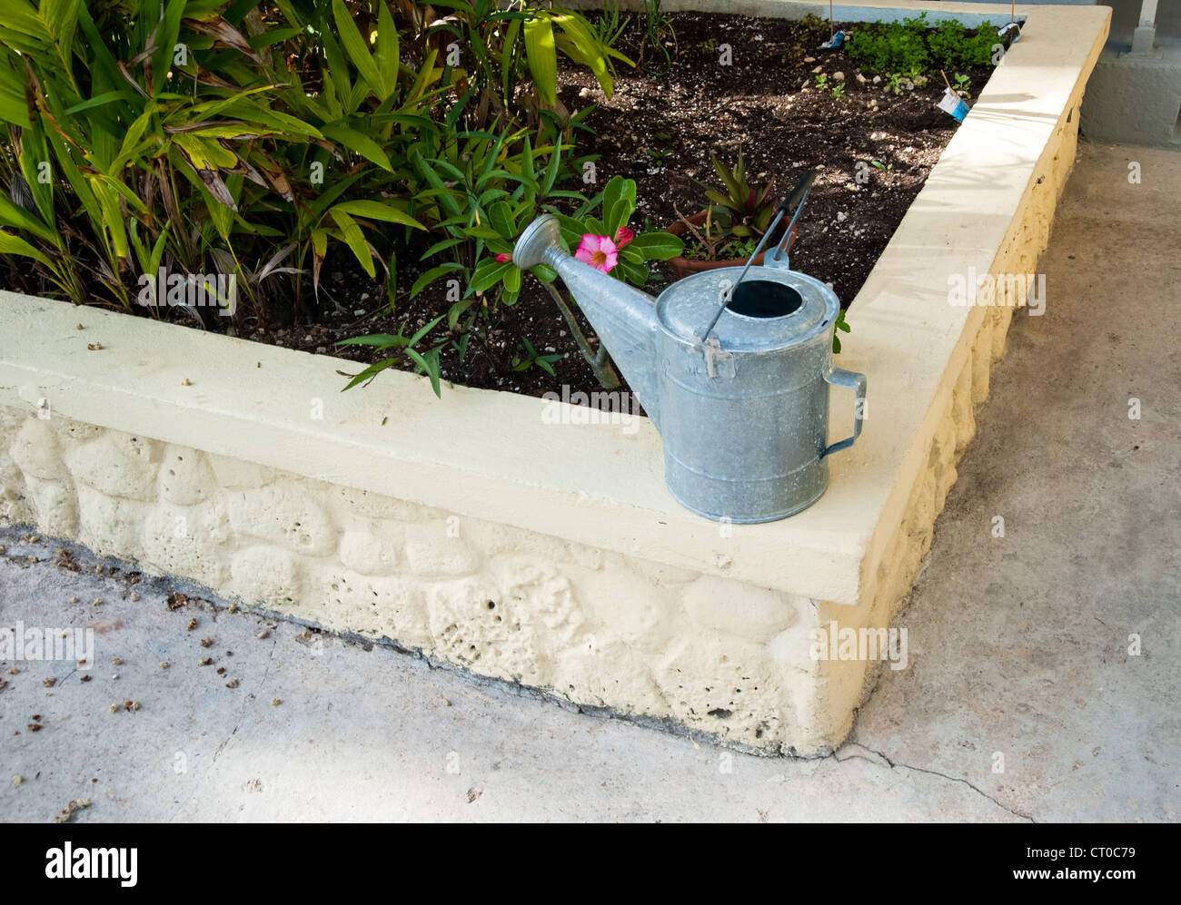 Watering can in Caribbean garden Stock Photo
